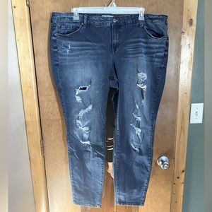 Torrid jeans